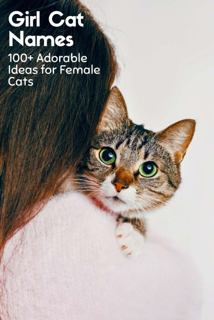 cute tabby cat peeping over a woman's shoulder