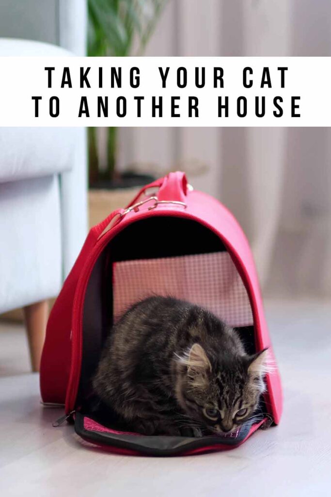taking your cat to another house