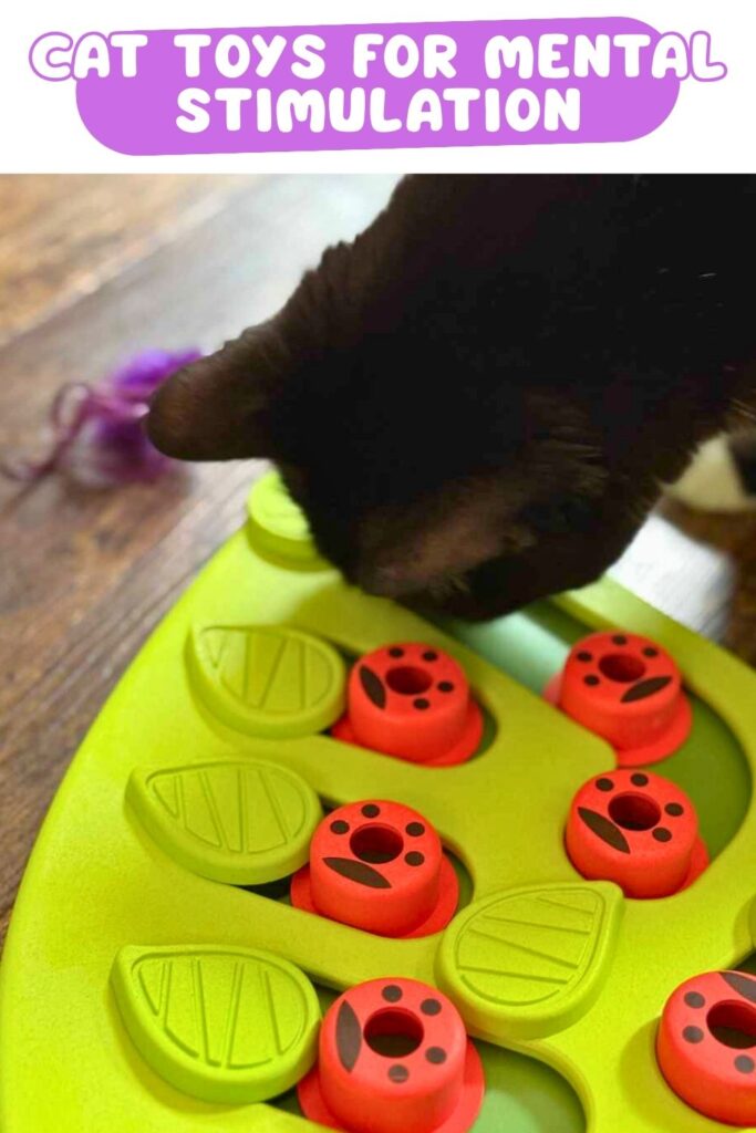 photo of a black cat investigating a green cat toy