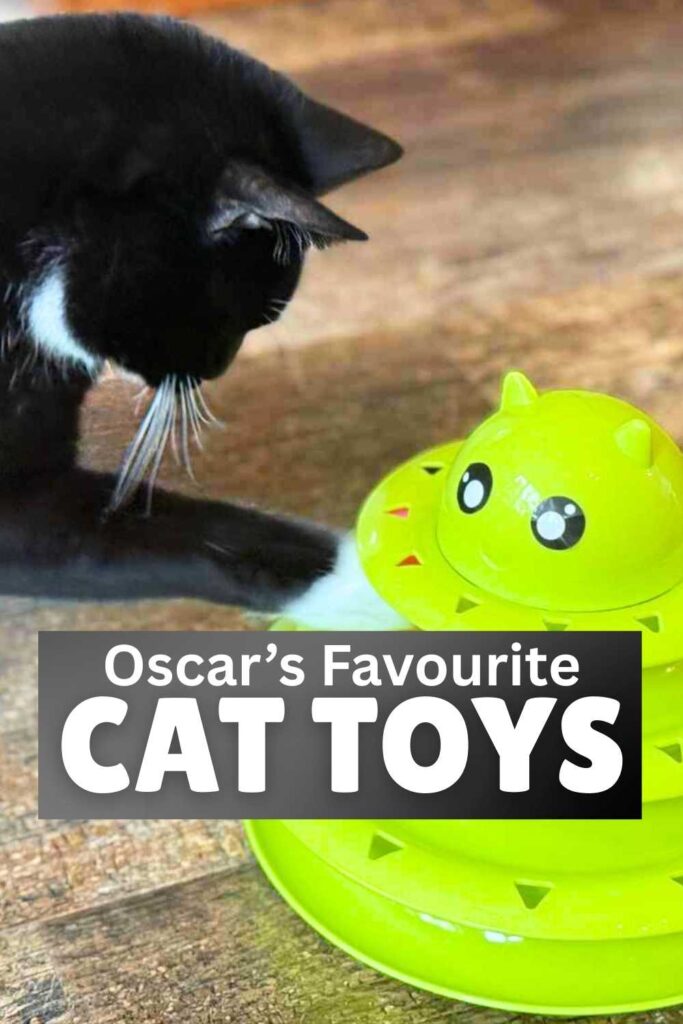 photo of Oscar the tuxedo cat with his green cat toy