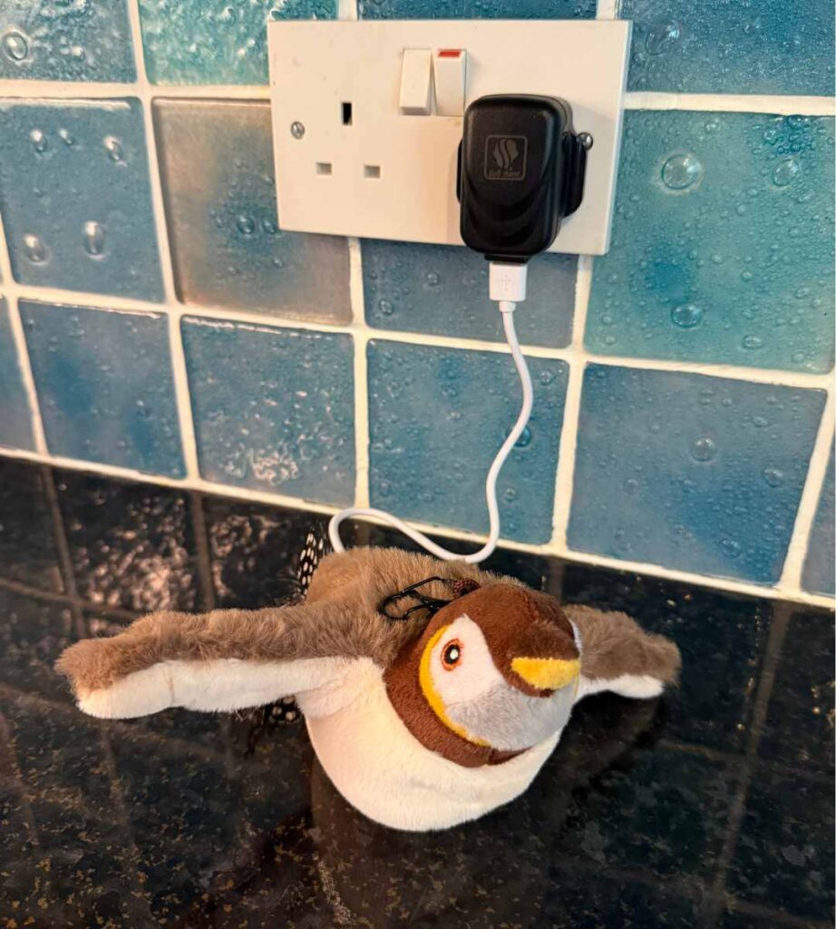 cat bird toy charging