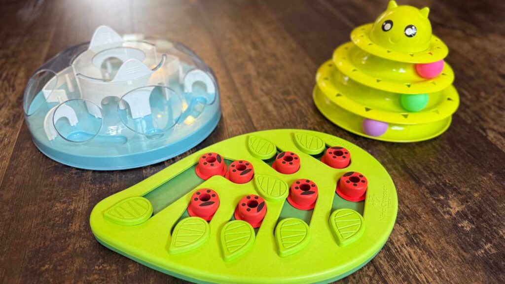 interactive cat toys