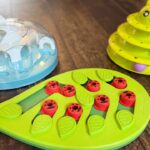 interactive cat toys