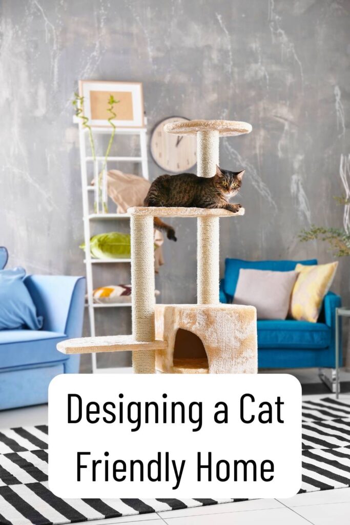 photo of a cat on a cat tree in a modern room with text overlay that reads: Designing A Cat Friendly Home