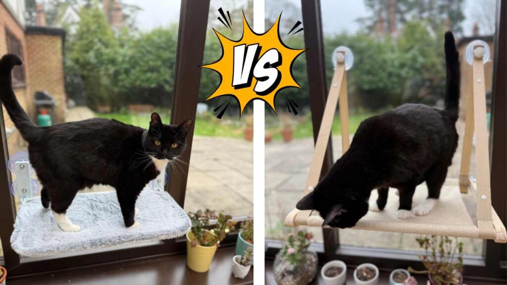 Comparing two cat window hangers
